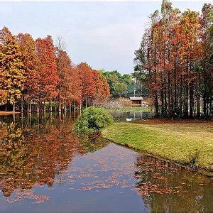 重慶園博園怎麼去 重慶園博園是個怎樣的地方